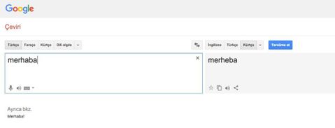 google çeviri kürtçe