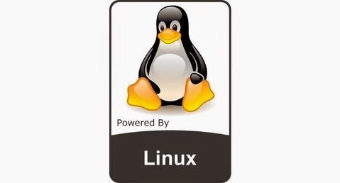 linux kernel