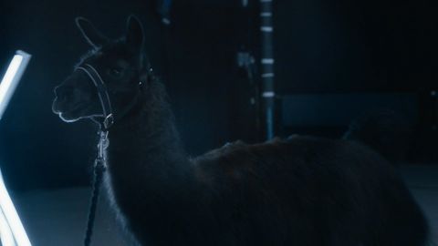 Video: Galaxy S7 kutu açılımı bir lama tarafından yapılırsa ne olur?