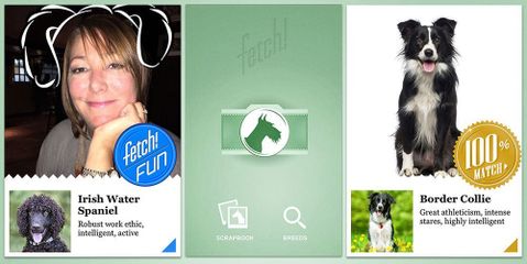 Microsoft Fetch! uygulaması fotoğraflardan köpek cinslerini tanıyacak