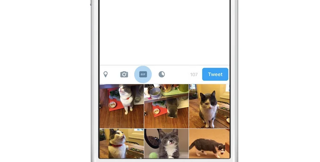 Twitter GIF butonu ile tweetlere animasyon eklemek kolaylaşıyor