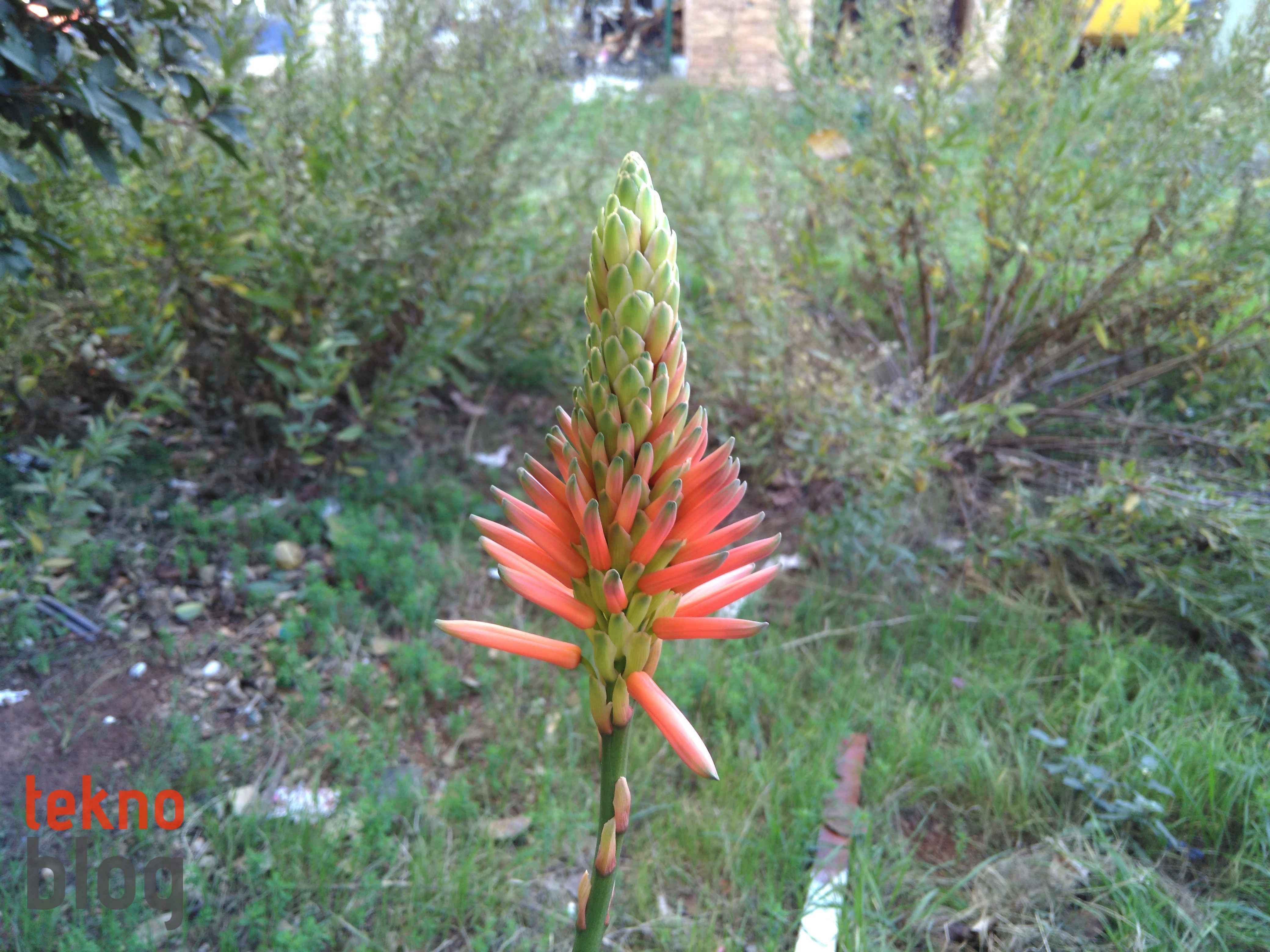 Vestel Venus V3 5570 İncelemesi