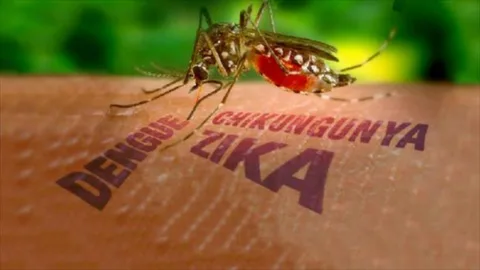 Barack Obama Zika virüsü ile mücadele için ABD Kongresi’nden 1.8 milyar dolar isteyecek