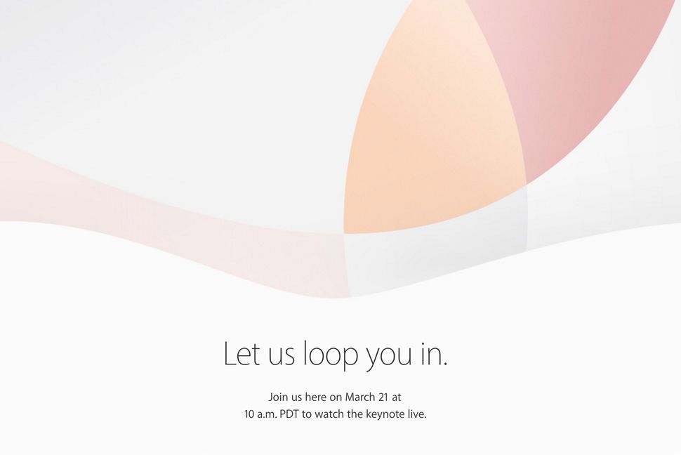 Sophia robot insansı yüz ifadeleriyle dikkat çekiyor