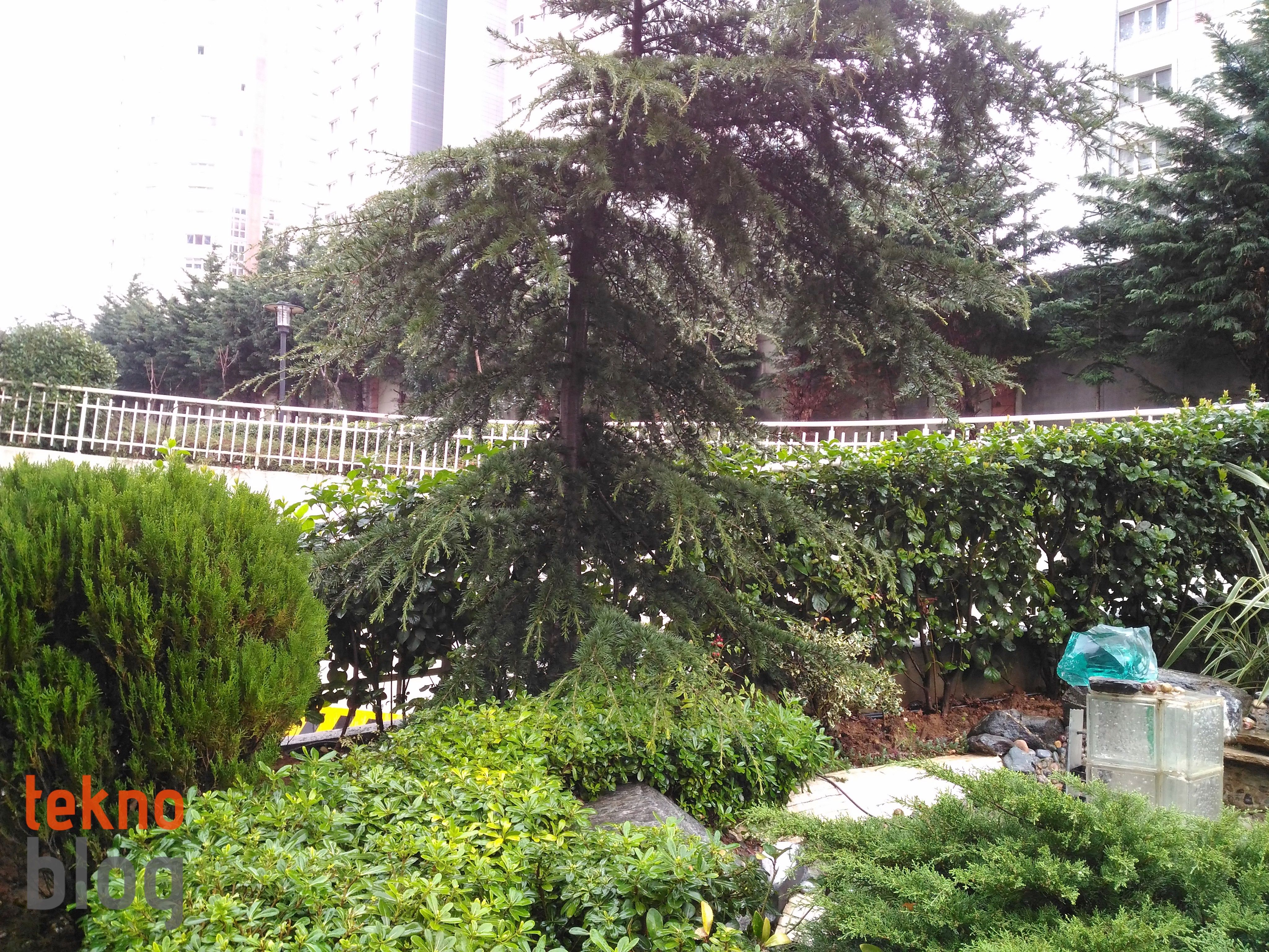 Asus ZenFone 2 Laser 6 inç İncelemesi