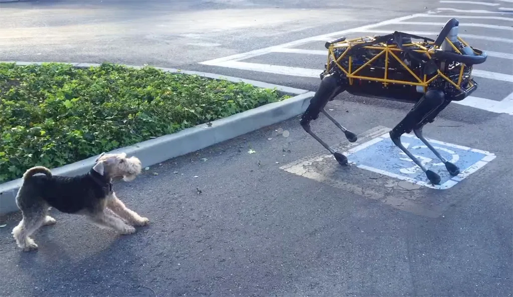 Video: Google Spot ile Andy Rubin’in köpeği karşı karşıya