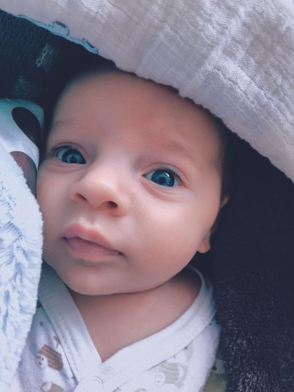 John de Guzman, New York