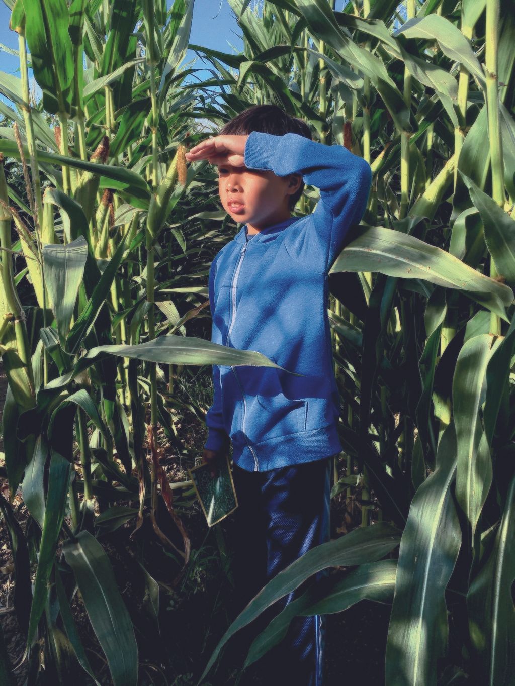 Cielo de la Paz, Alameda, CA