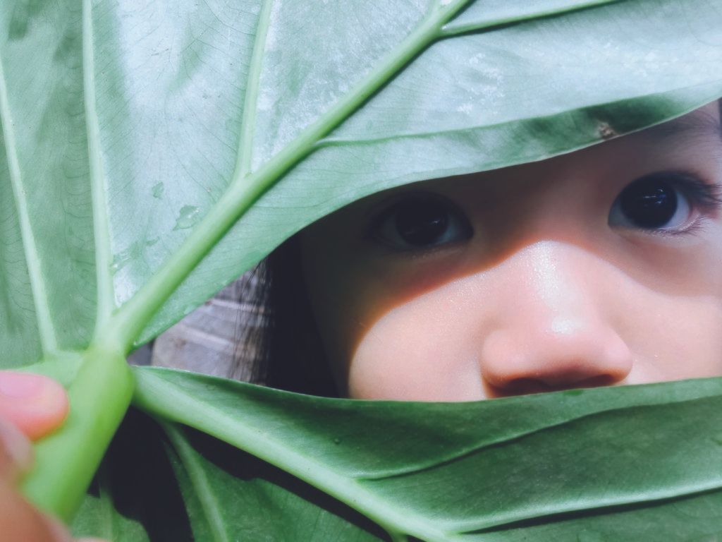 Jirasak Panpiansin, KhangKro, Chaiyaphum?s Province, Thailand