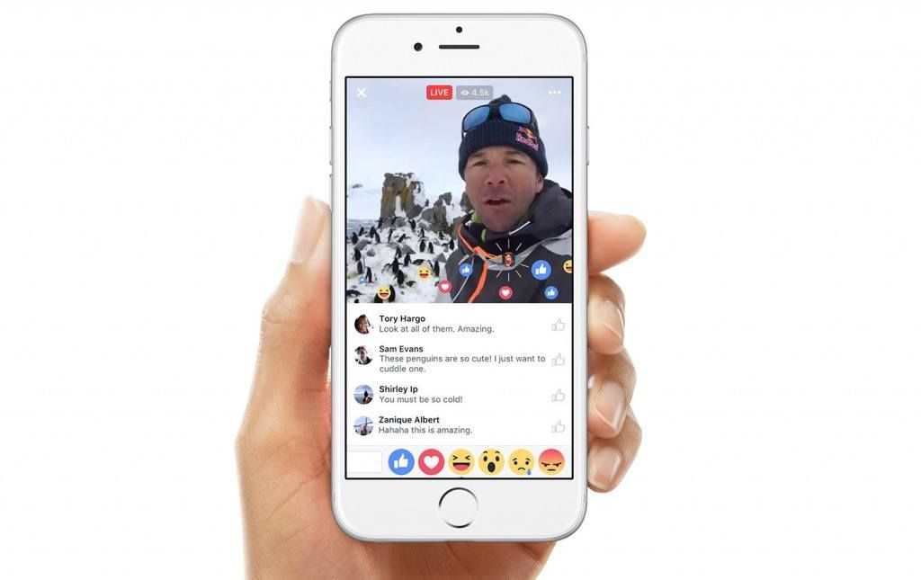 facebook canli video