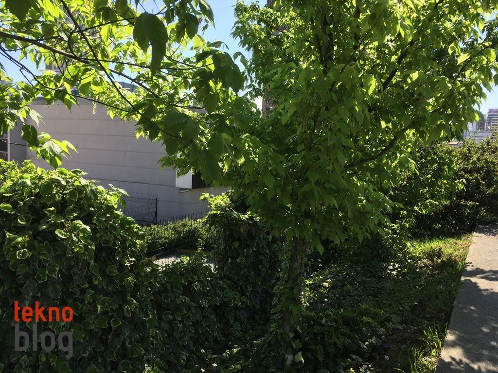 iPhone SE İncelemesi