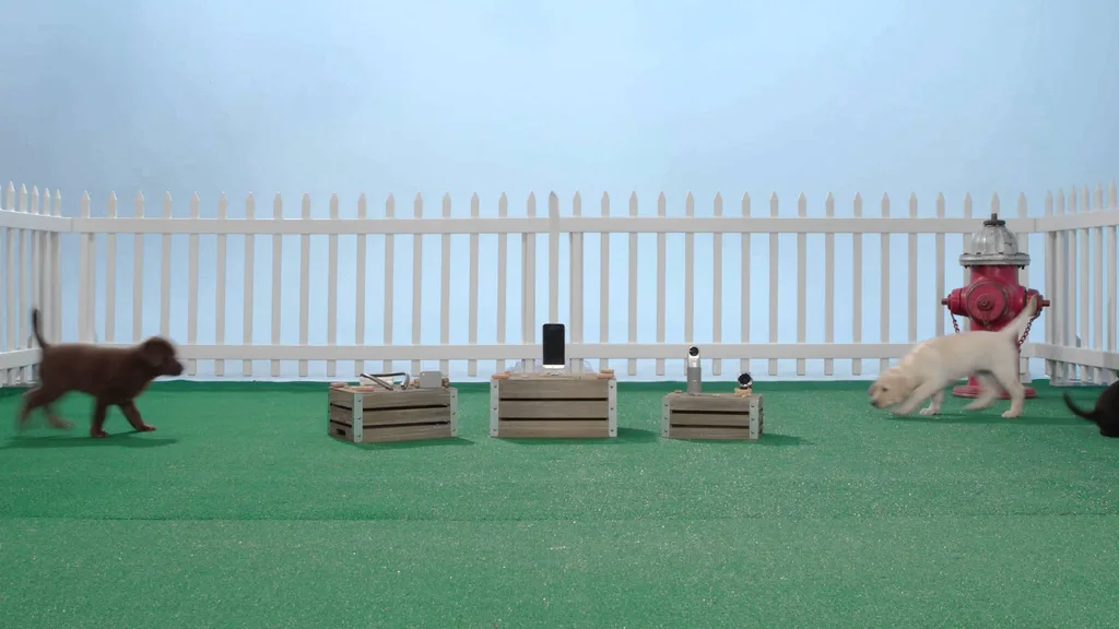 LG G5 kutusunu yavru köpekler açarsa – Video
