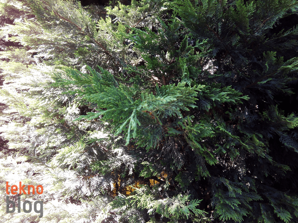 Vestel Venus V3 5020 İncelemesi