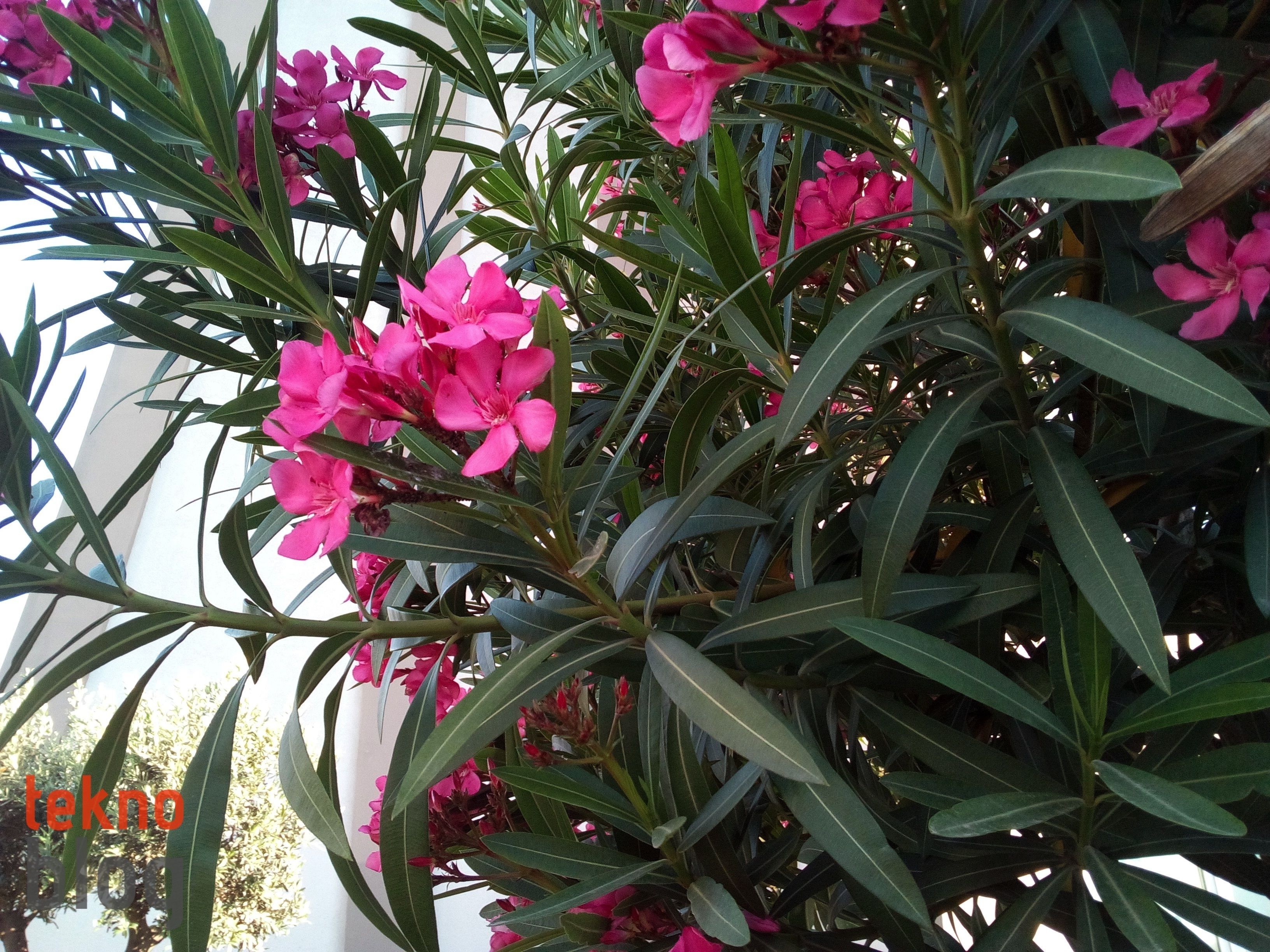 Casper VIA E1 İncelemesi