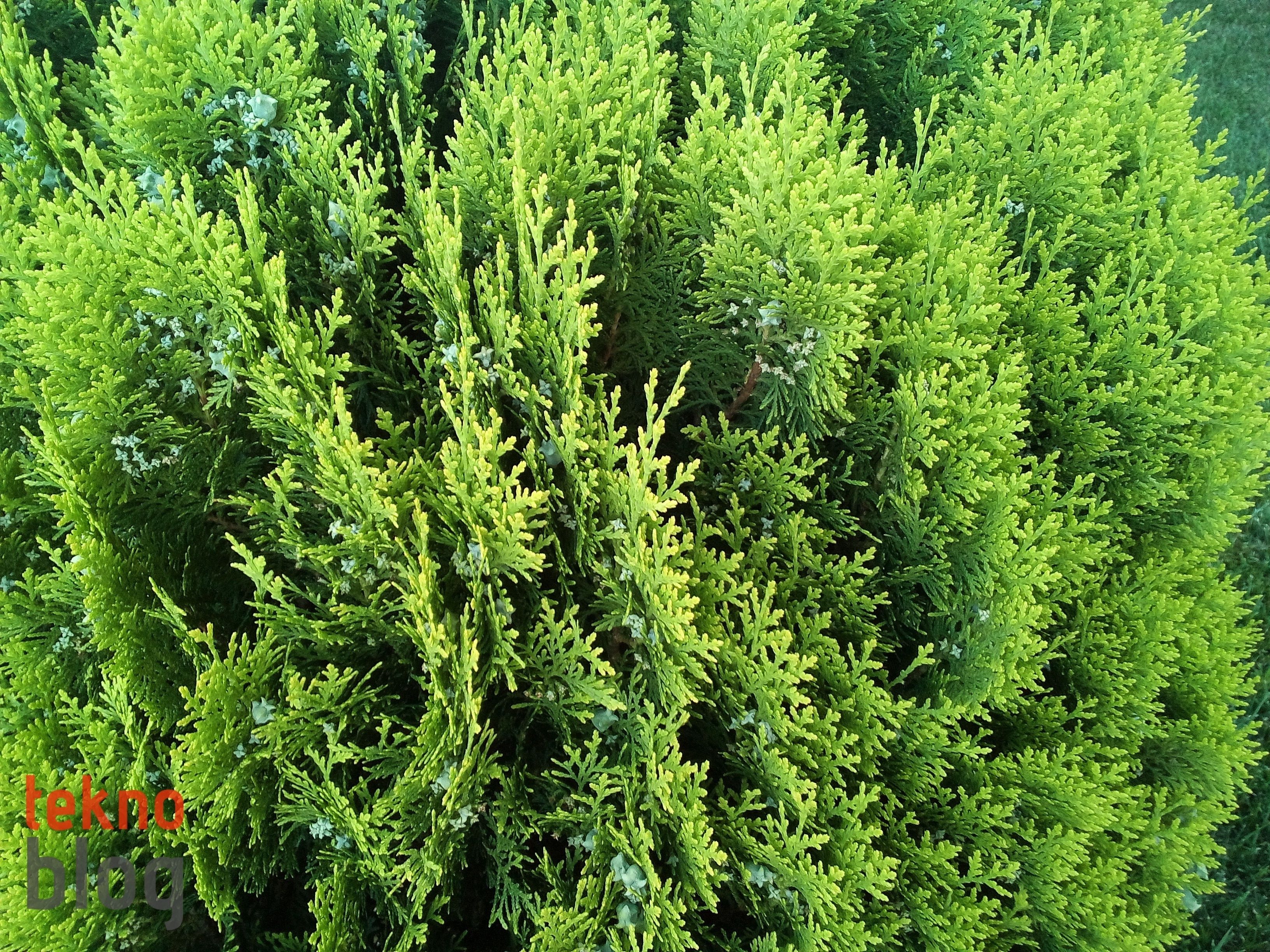 Casper VIA E1 İncelemesi