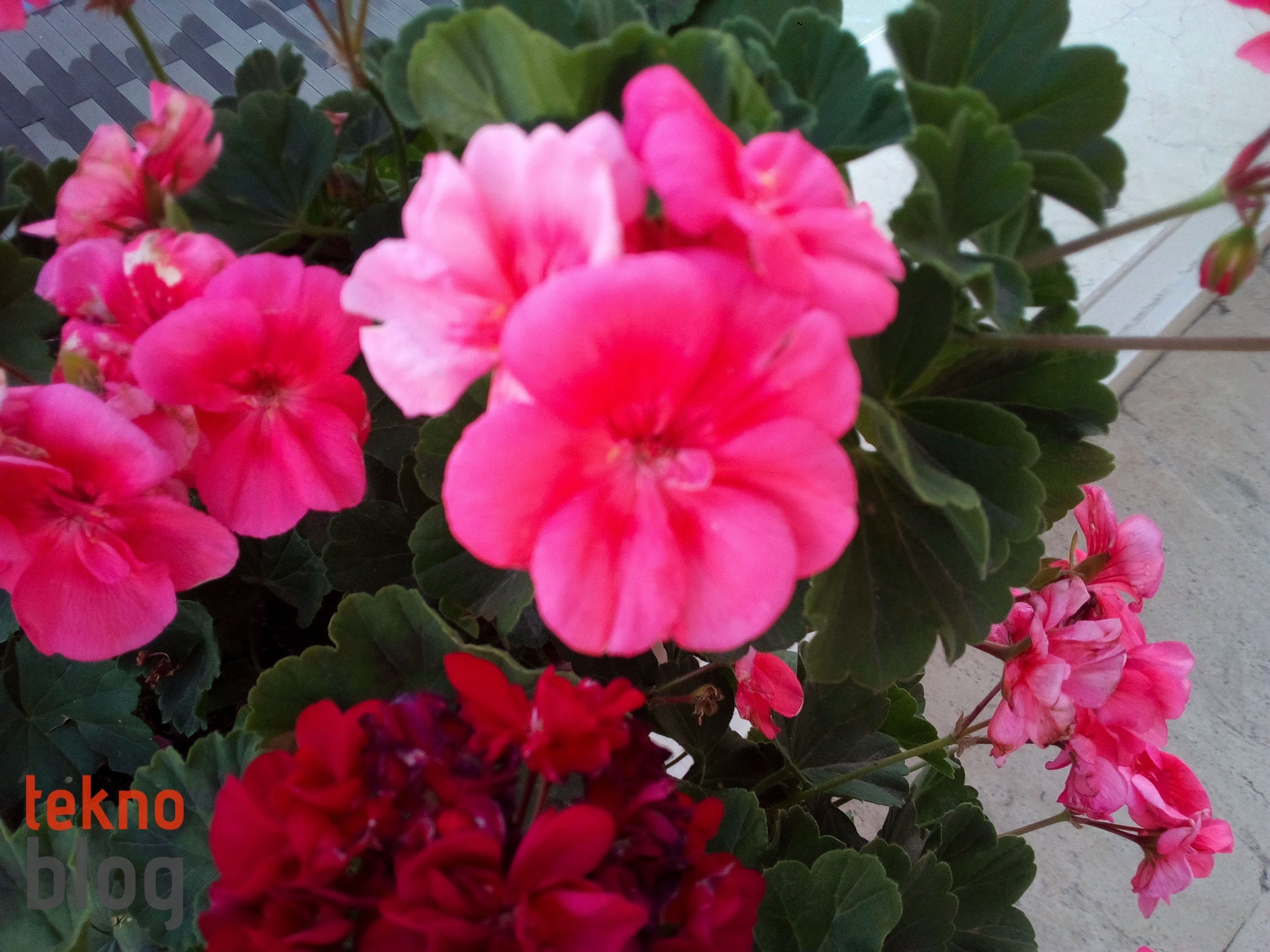 Casper VIA E1 İncelemesi