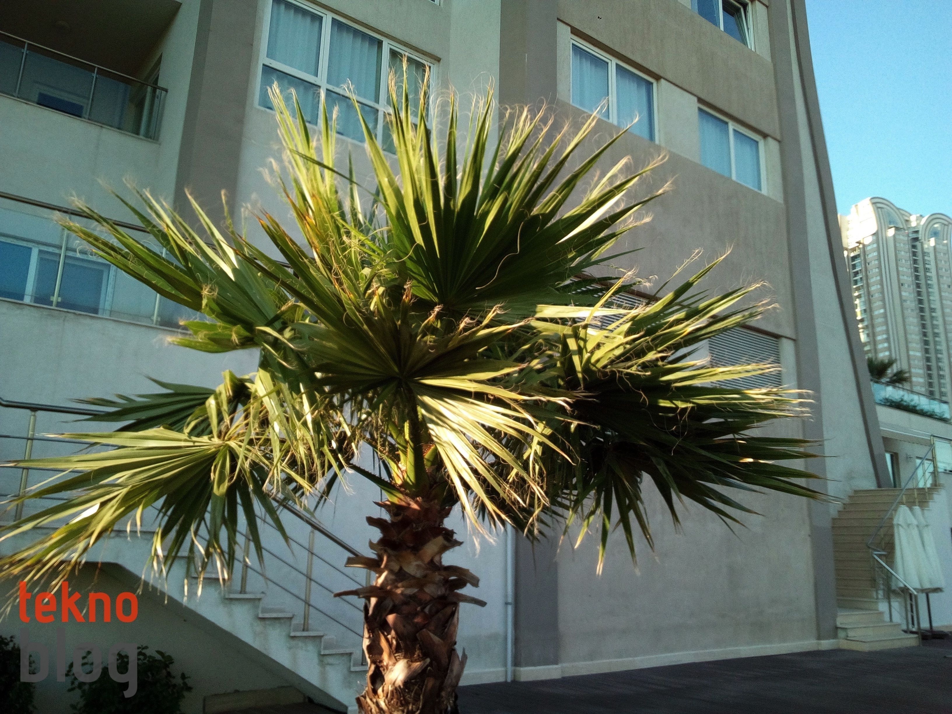 Casper VIA E1 İncelemesi