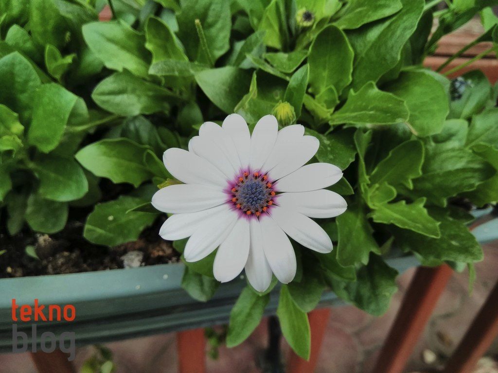 General Mobile GM 5 Plus İncelemesi