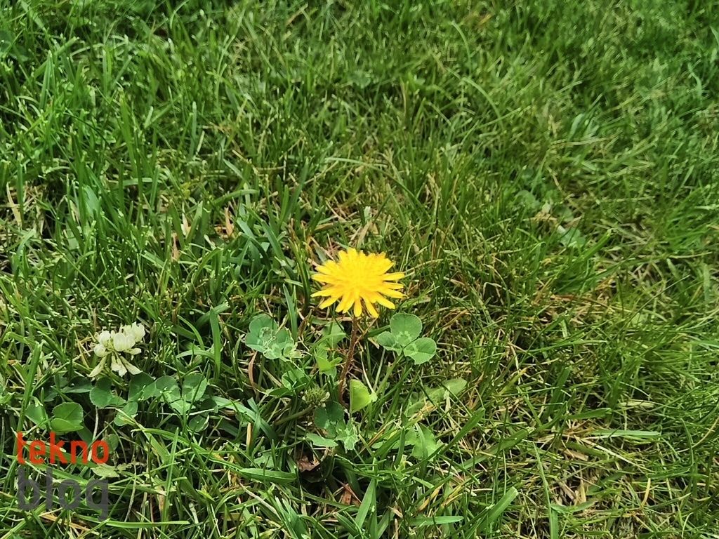 General Mobile GM 5 Plus İncelemesi