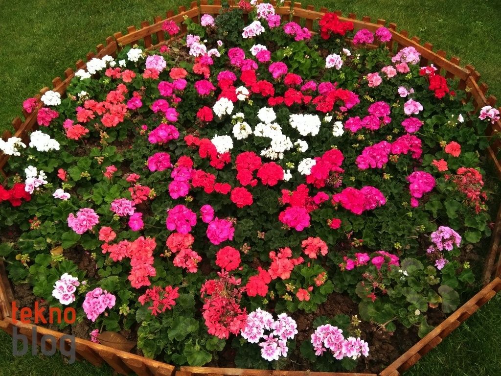 General Mobile GM 5 Plus İncelemesi