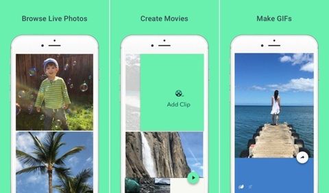 live photos