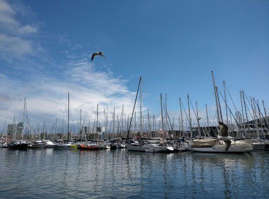 OnePlus 3 yeni sızıntılarla bir kez daha boy gösterdi