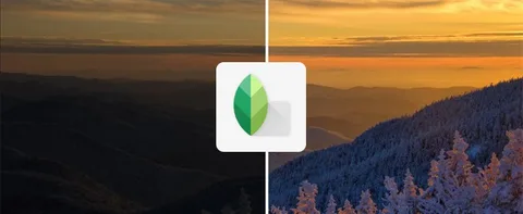 Snapseed iOS uygulaması tam RAW desteğine kavuştu