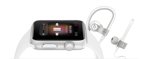 apple watch