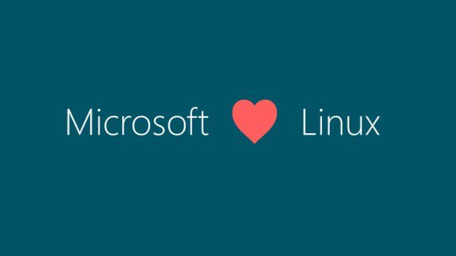 microsoft linux açık kaynak