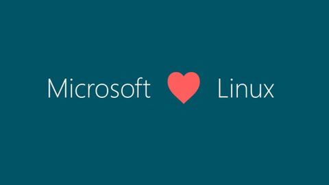 microsoft linux açık kaynak