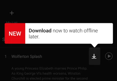 Netflix Android kullanıcılarına SD karta dizi ve film indirme imkânı veriyor