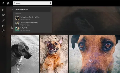 Plex otomatik öğrenme teknolojisiyle fotoğrafları etiketliyor