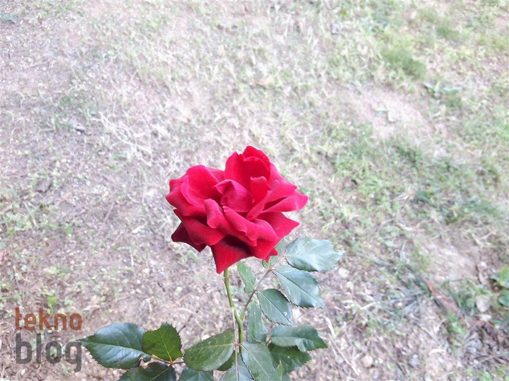 Samsung Galaxy A8 (2016) İncelemesi