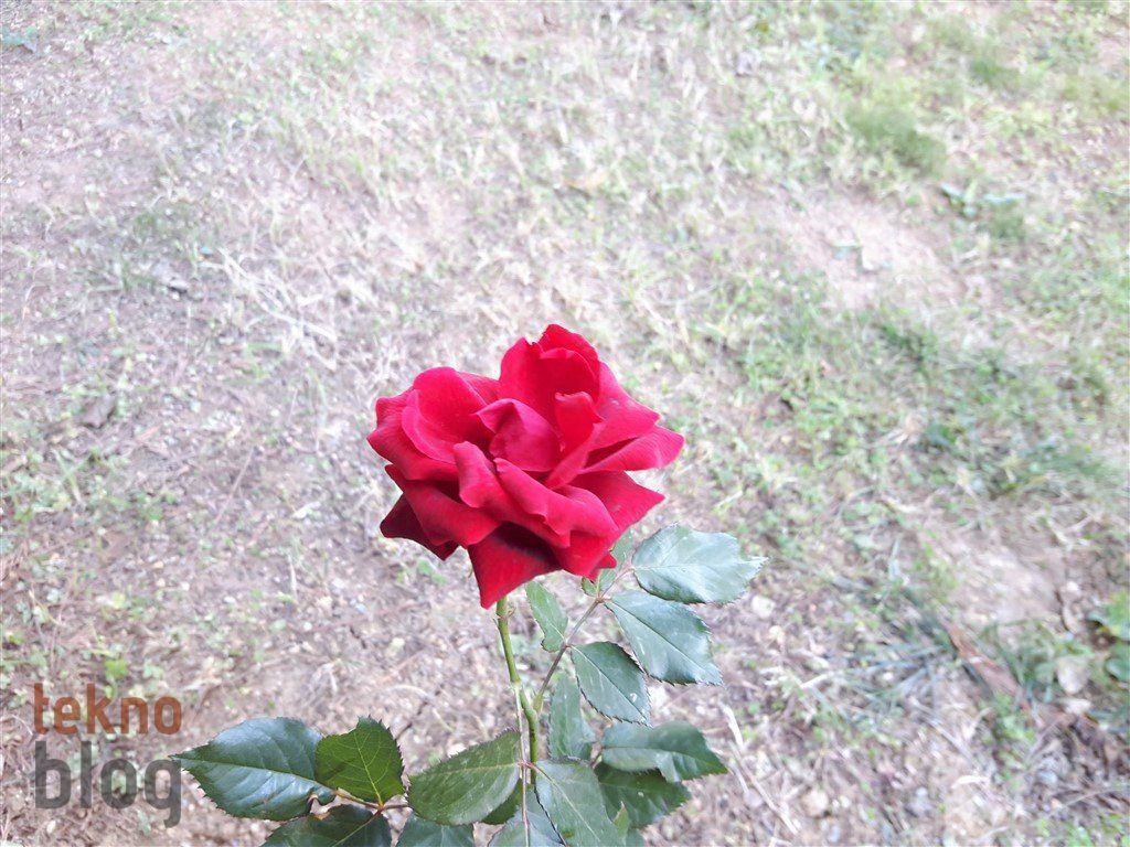 Samsung Galaxy A8 (2016) İncelemesi