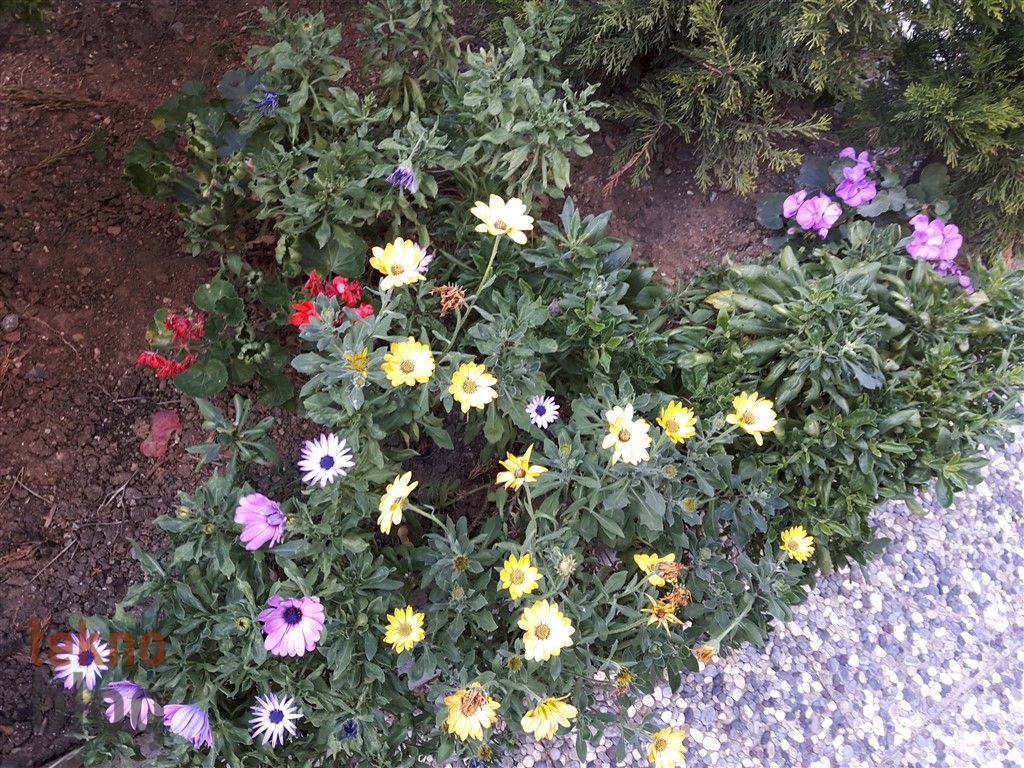 Samsung Galaxy A8 (2016) İncelemesi