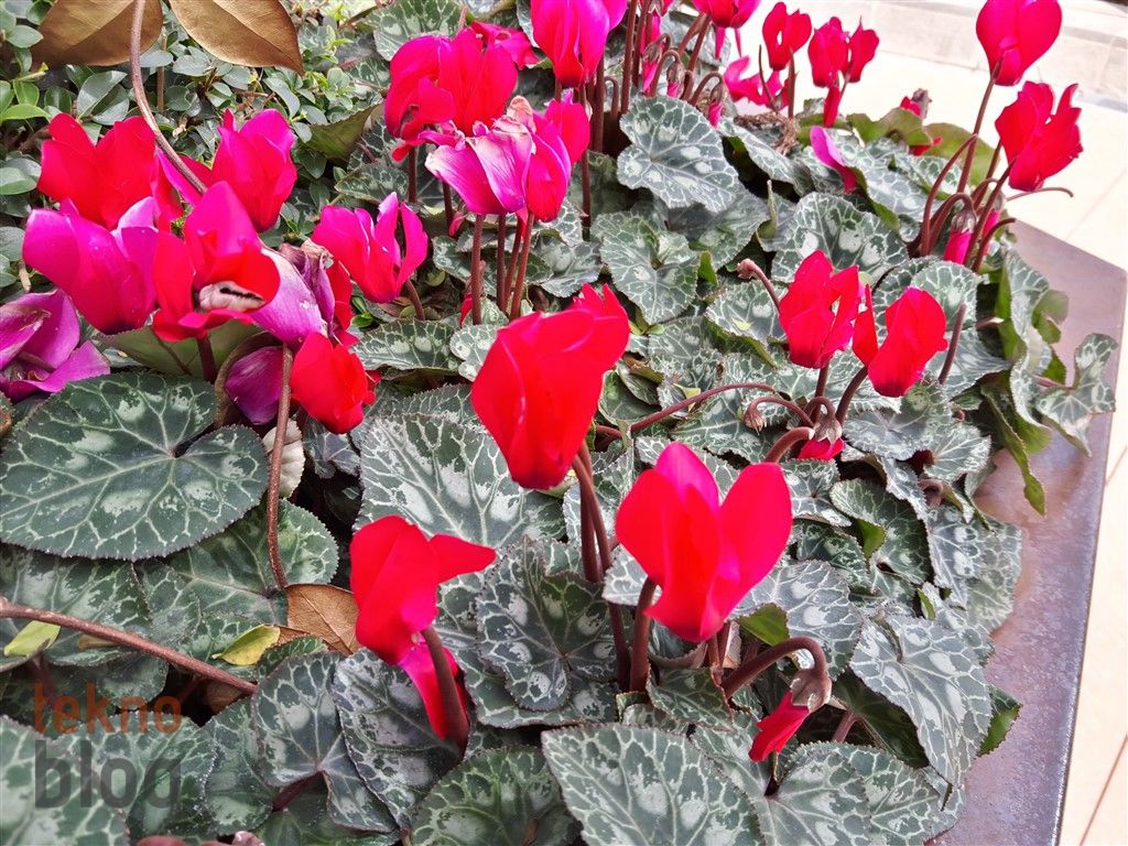 Samsung Galaxy A8 (2016) İncelemesi