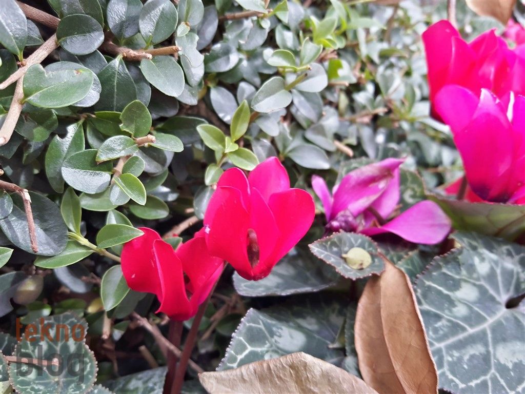 Samsung Galaxy A8 (2016) İncelemesi