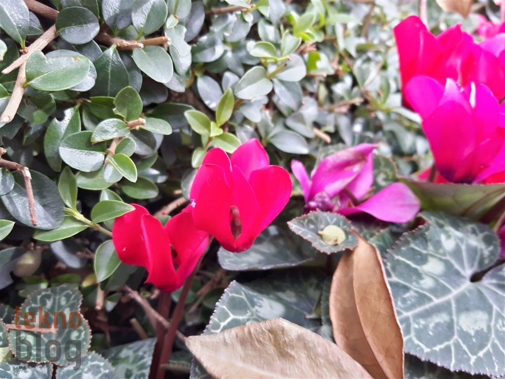 Samsung Galaxy A8 (2016) İncelemesi