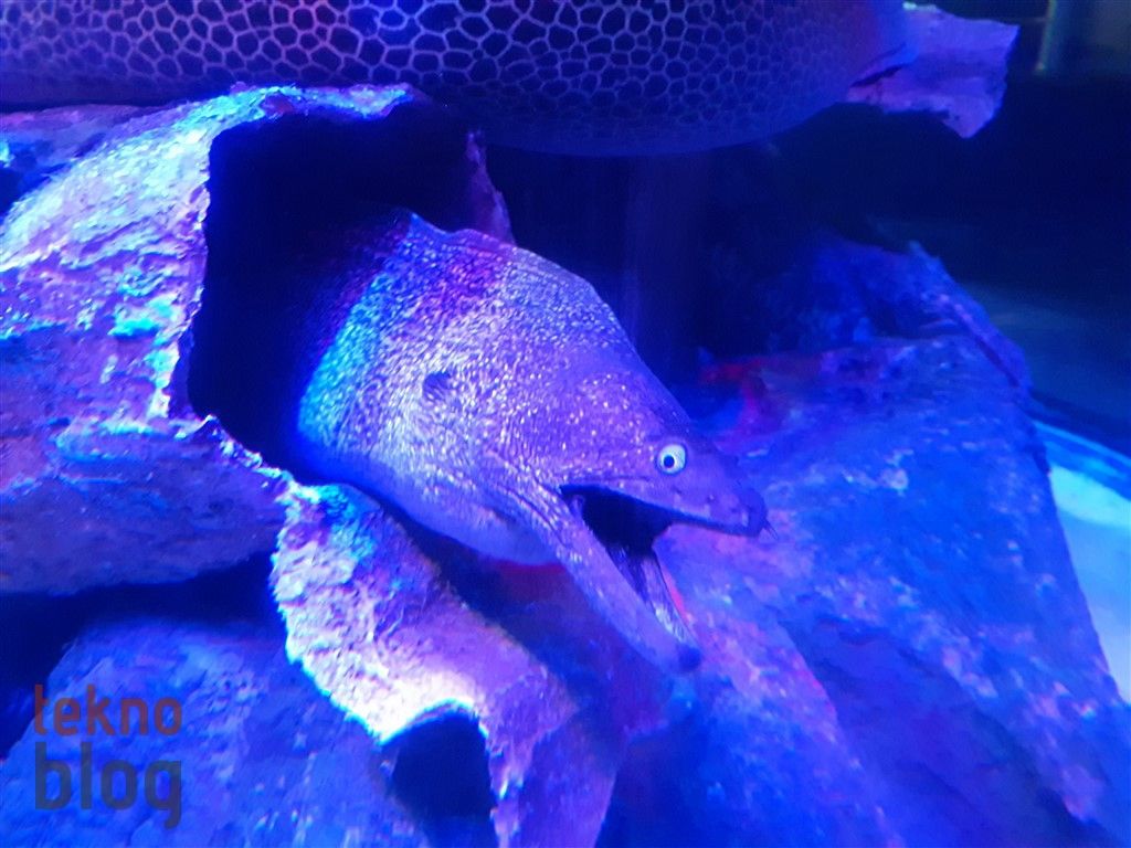 Samsung Galaxy A8 (2016) İncelemesi