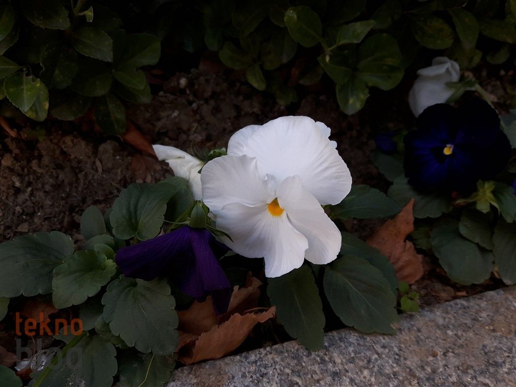 Samsung Galaxy A8 (2016) İncelemesi