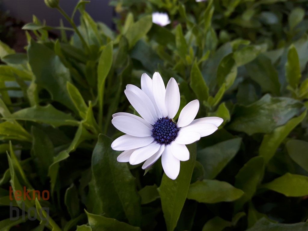 Samsung Galaxy A8 (2016) İncelemesi