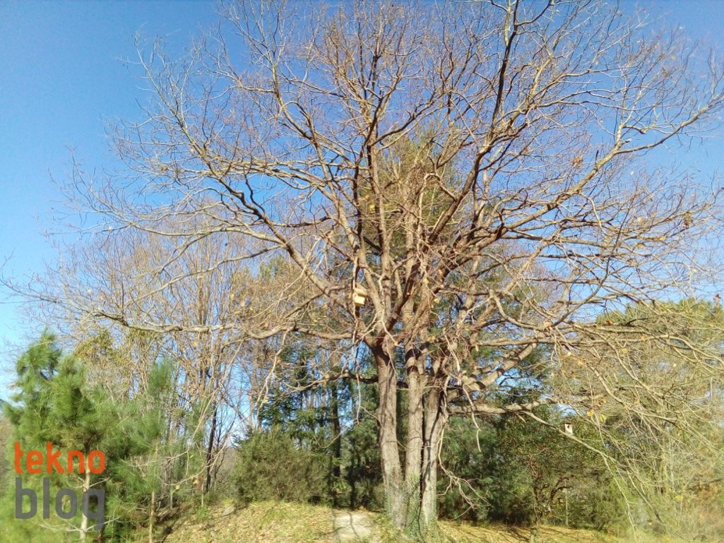 ZTE Blade V7 Lite İncelemesi