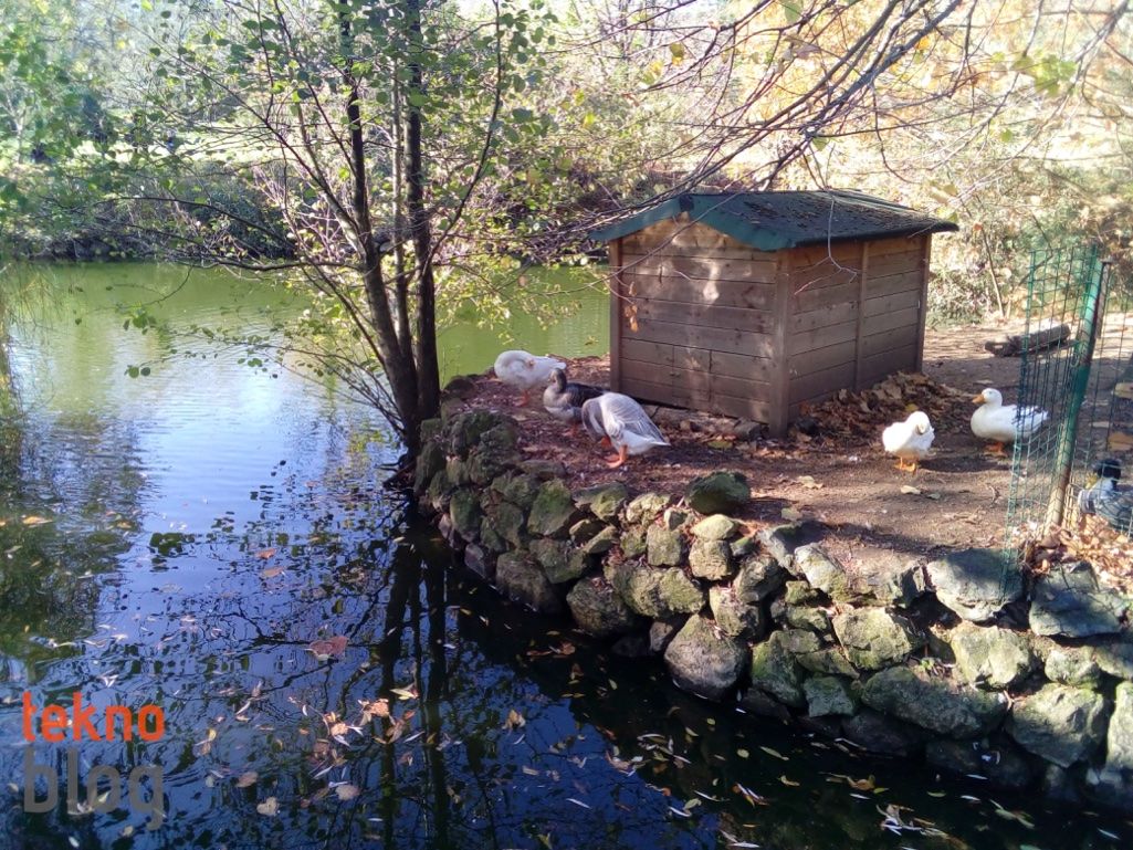 ZTE Blade V7 Lite İncelemesi