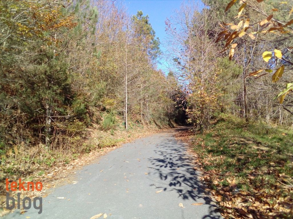 ZTE Blade V7 Lite İncelemesi