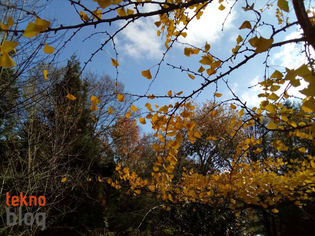 ZTE Blade V7 Lite İncelemesi