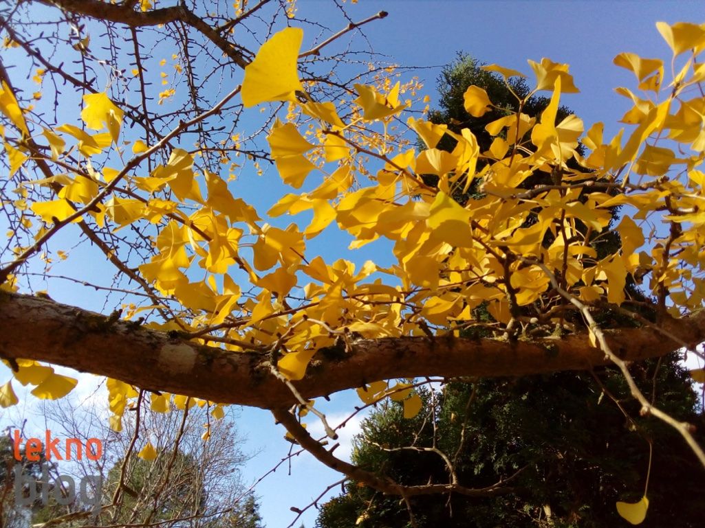 ZTE Blade V7 Lite İncelemesi