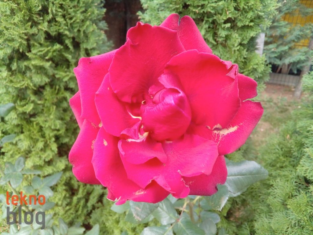 ZTE Blade V7 Lite İncelemesi