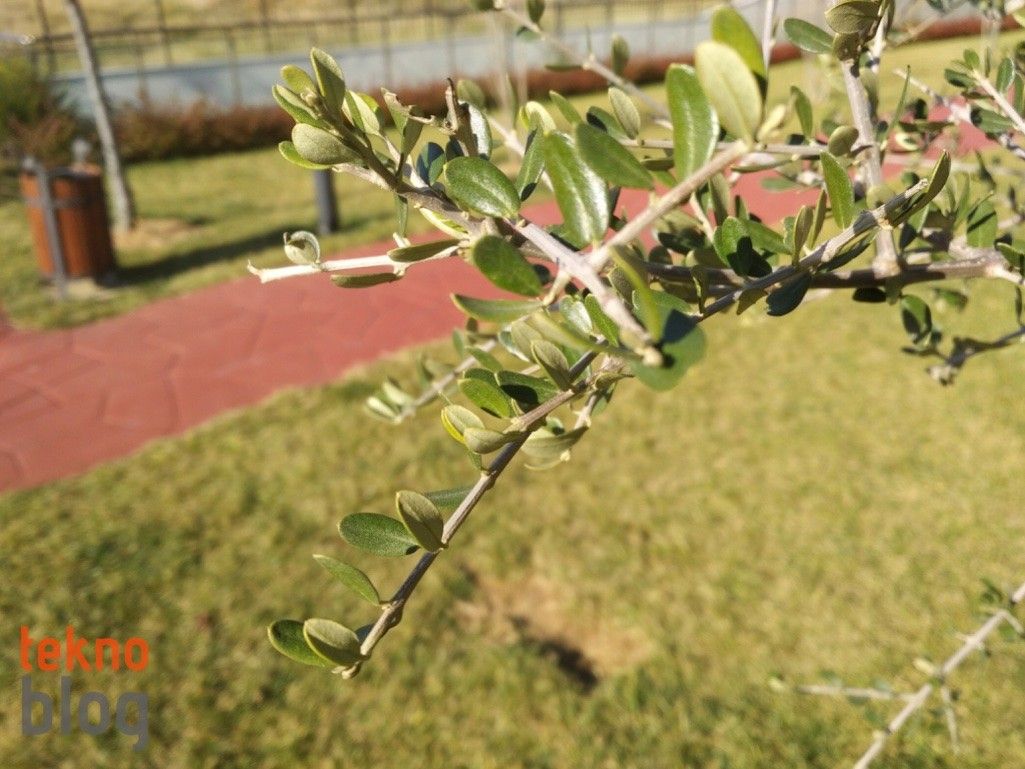 Alcatel Idol 4 İncelemesi