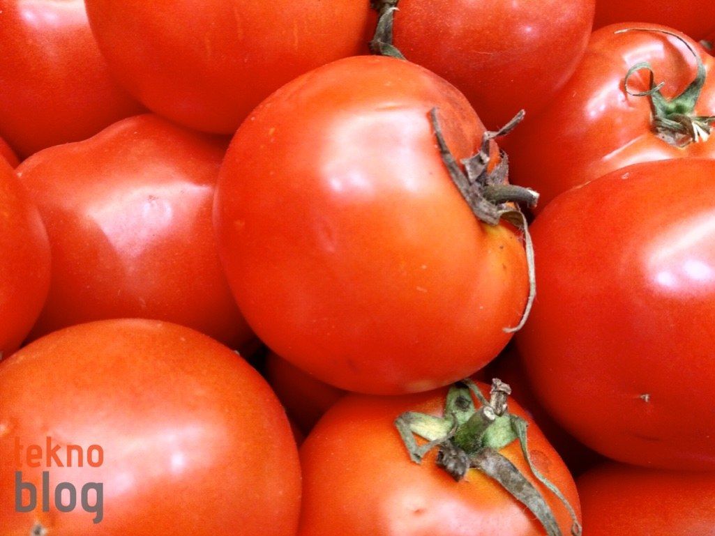 Alcatel Idol 4 İncelemesi