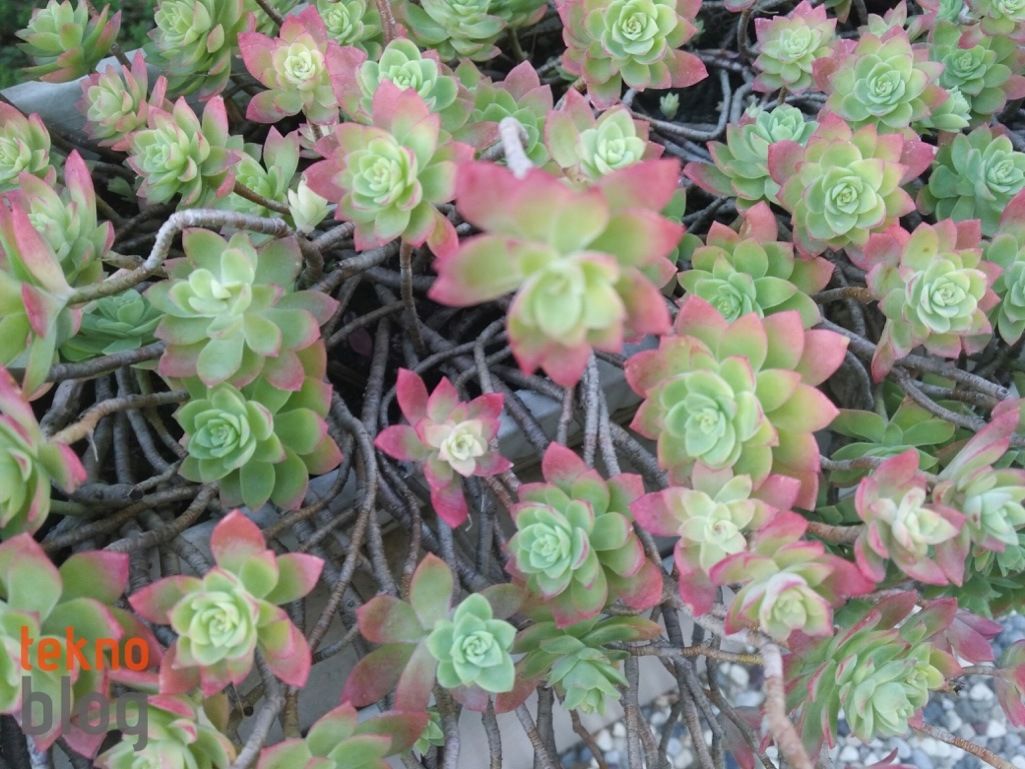 Alcatel Idol 4 İncelemesi